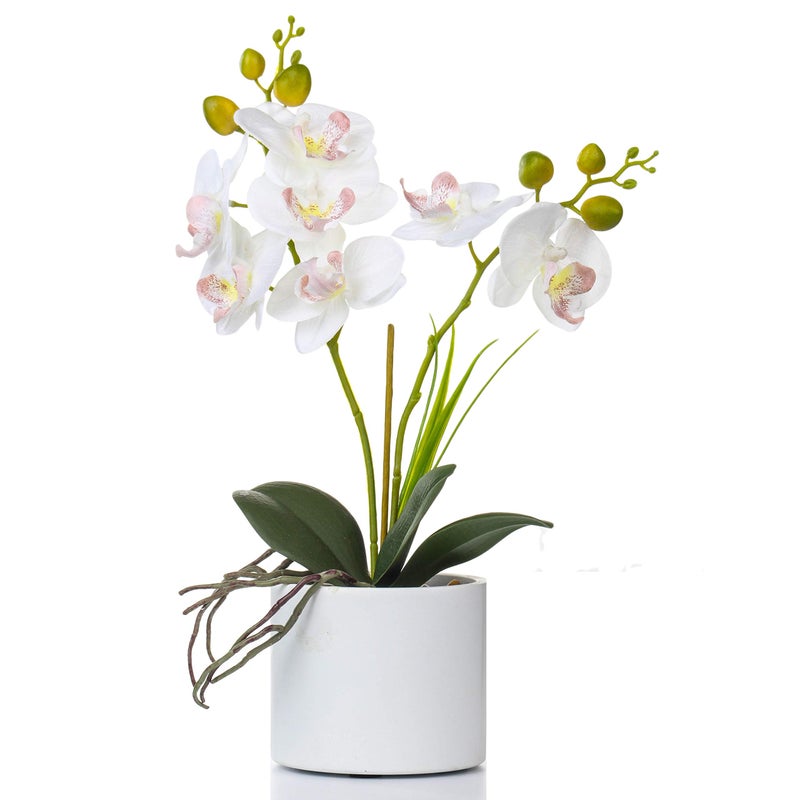 Jusdreen Artificial White Orchid in Ceramic Pot, Realistic Phalaenopsis Arrangement with Potting for Home Office Table Decor, 14.5 Inch Flower Centerpiece - Image 1